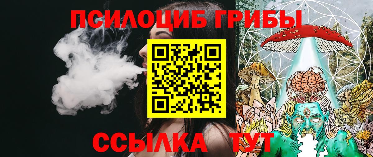 Галлюциногенные грибы Cubensis Каменск-Уральский