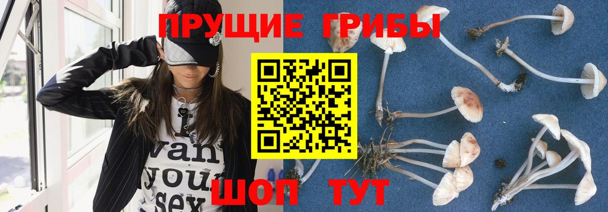 купить наркоту  Вход с VPN  Каменск-Уральский  Галлюциногенные грибы мицелий 